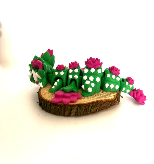 Dragon Cactus