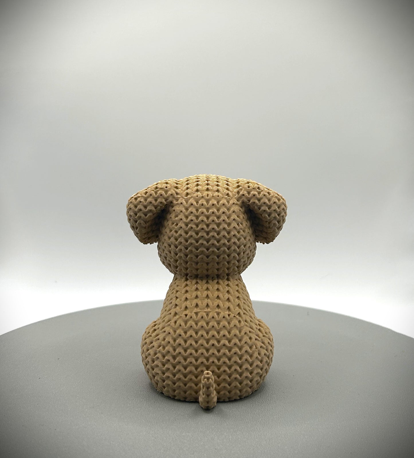 Chien