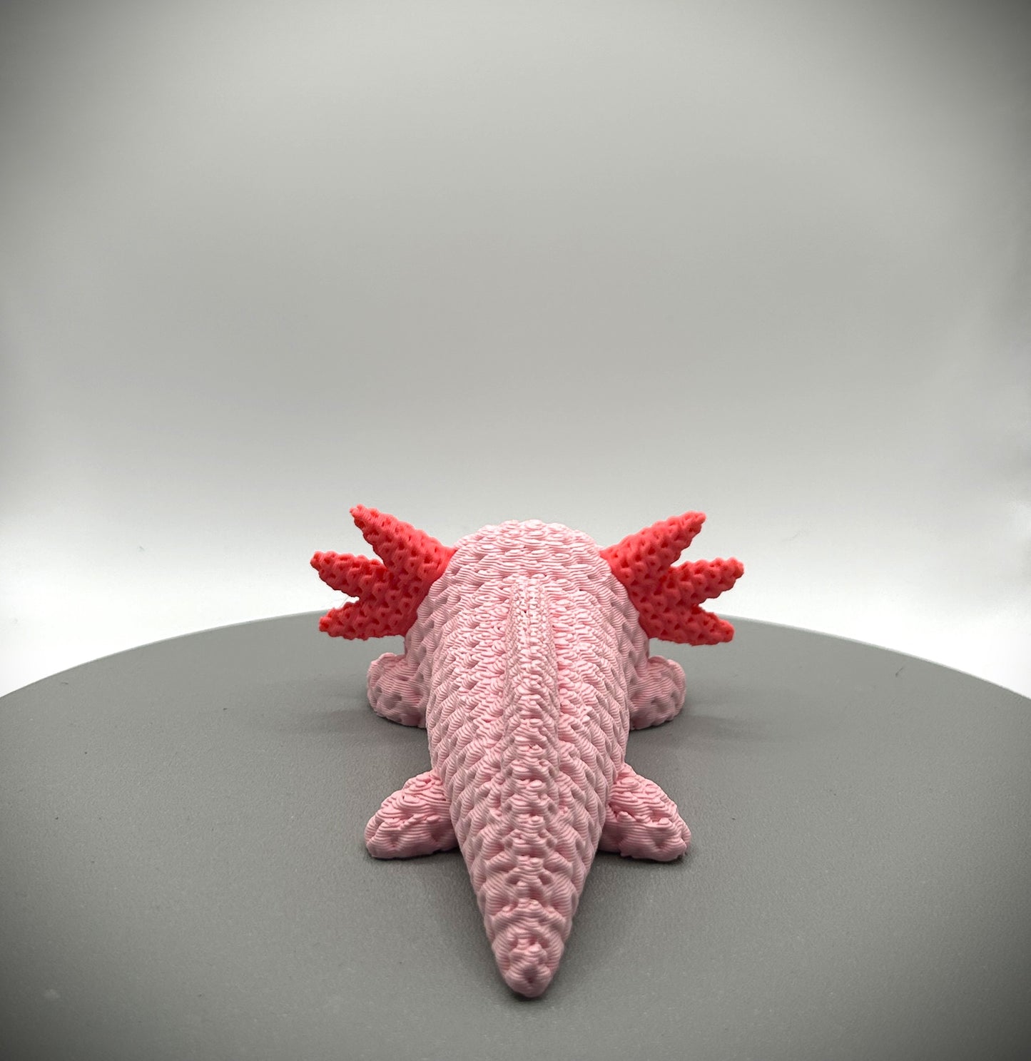 Axolotl