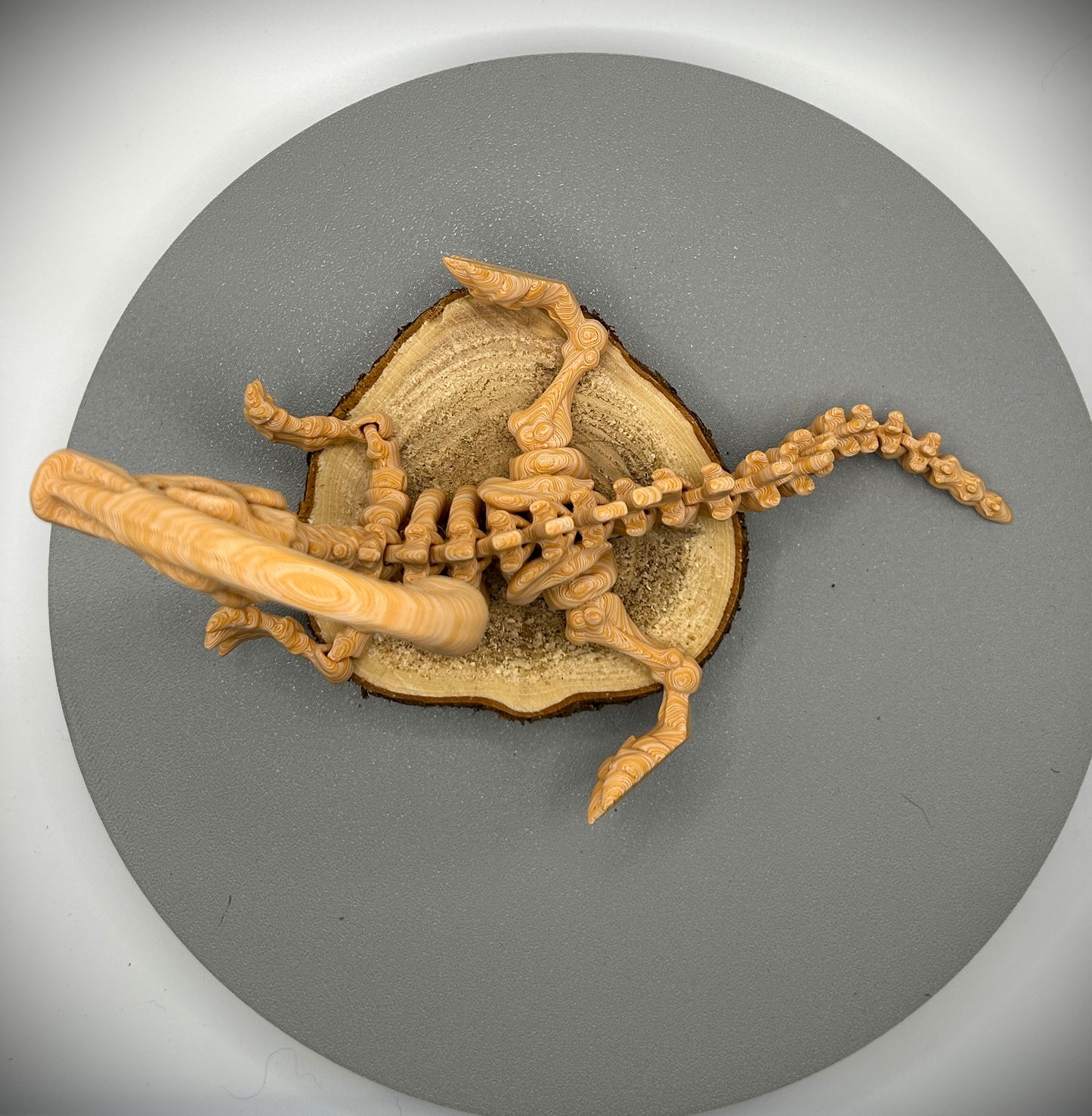 Squelette de Dinosaure