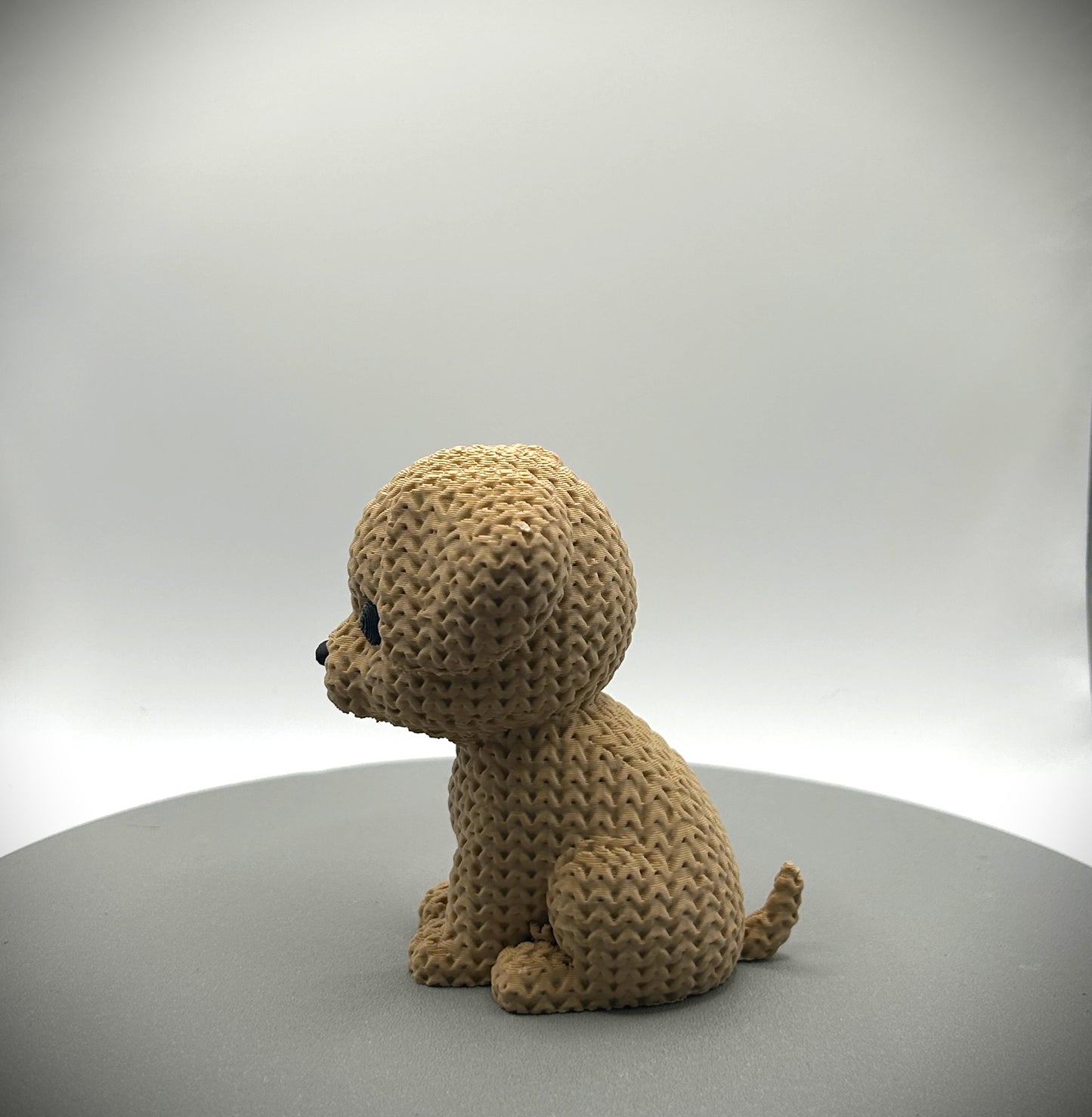 Chien