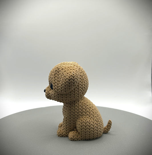 Chien