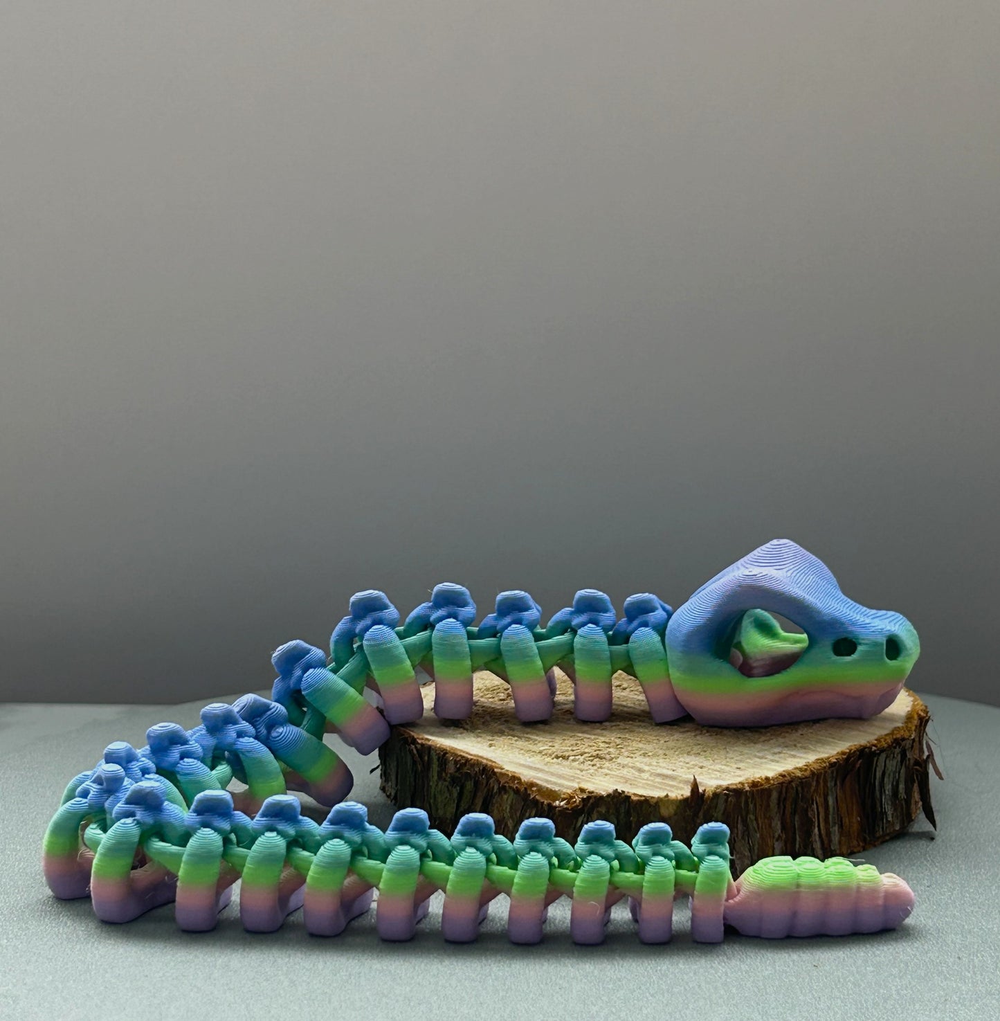 Squelette de Serpent