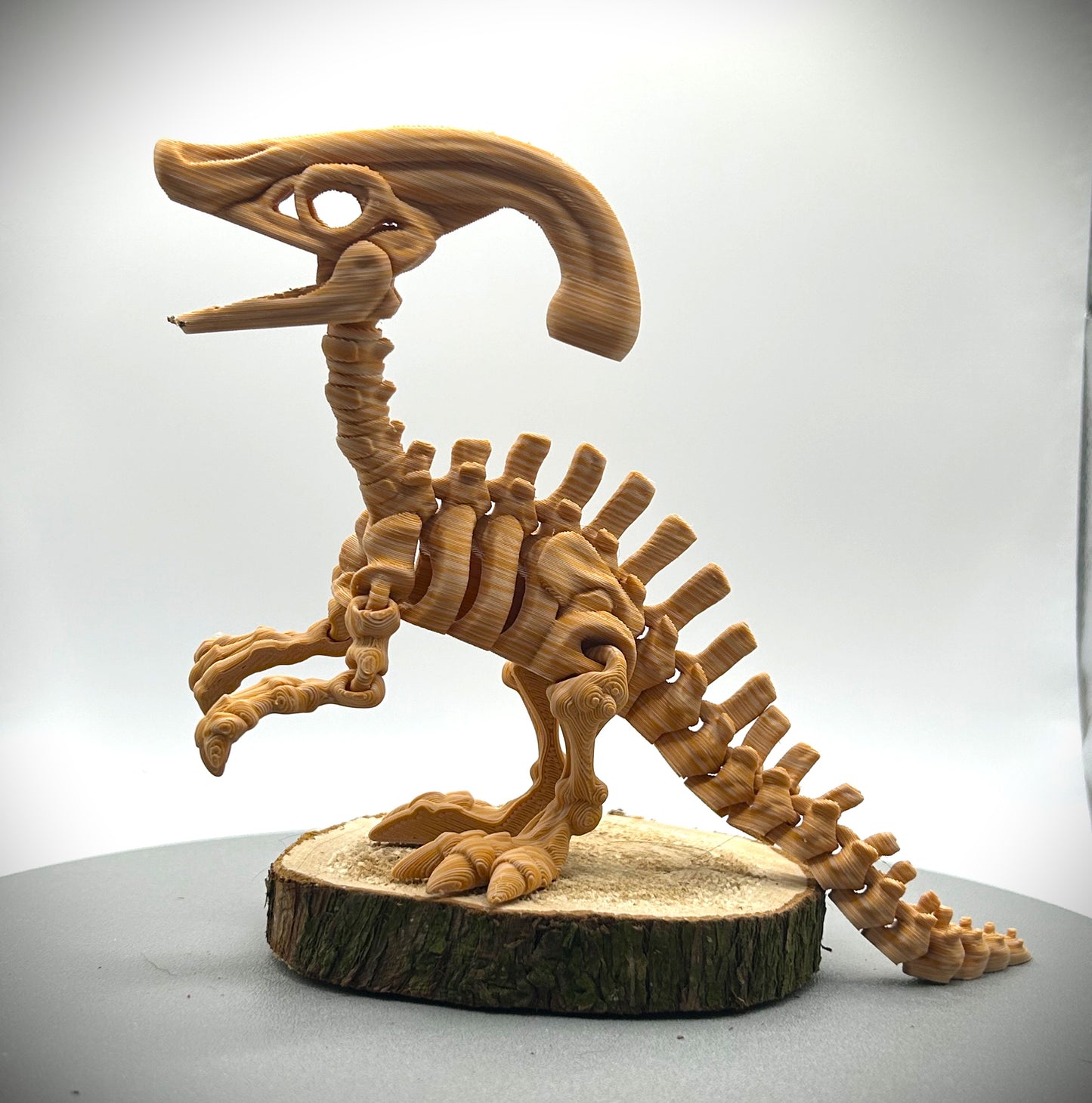 Squelette de Dinosaure