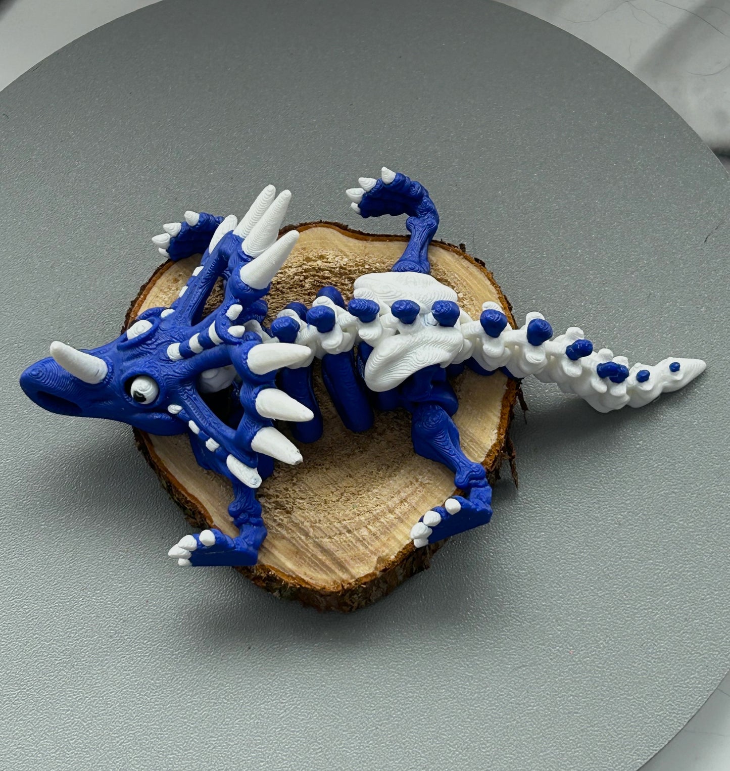 Squelette de Tricératops
