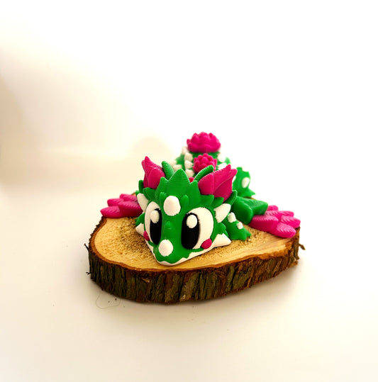 Dragon Cactus