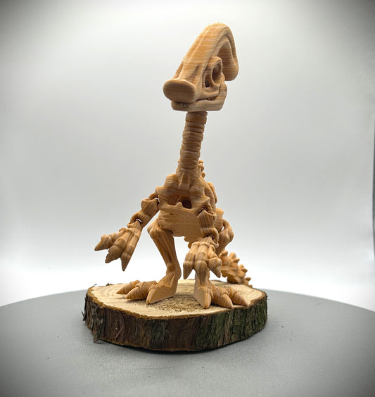 Squelette de Dinosaure