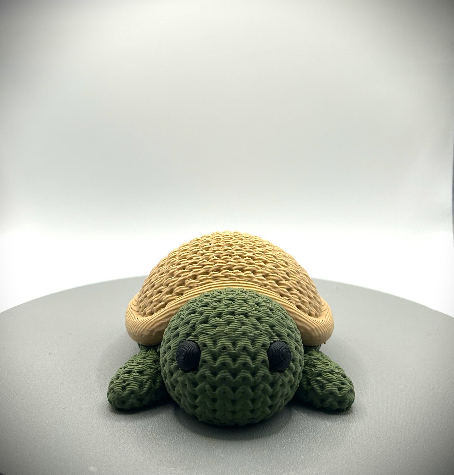 Tortue