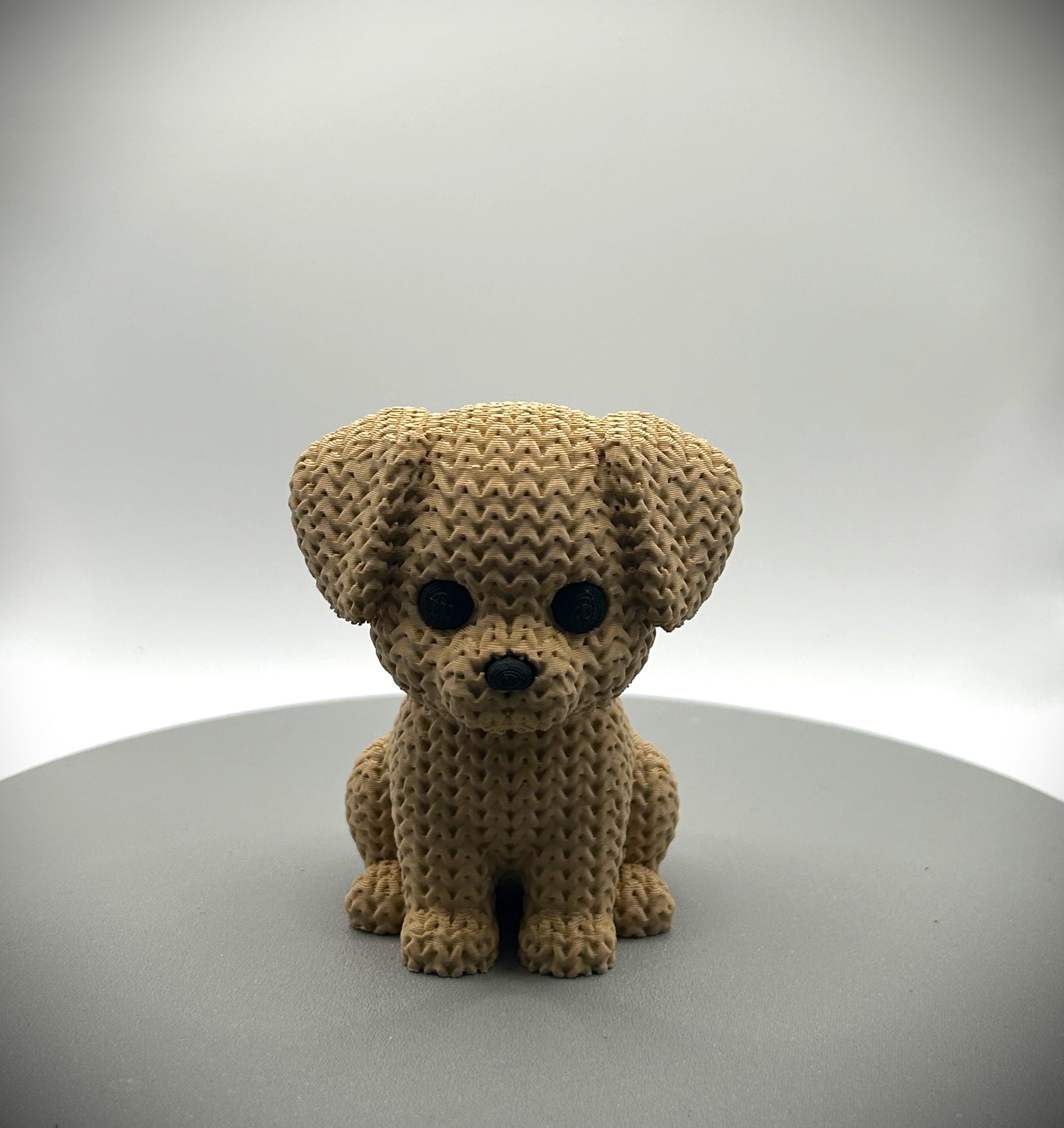 Chien