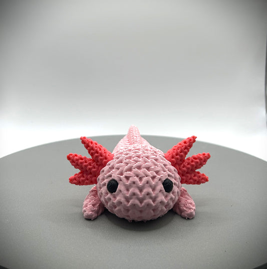 Axolotl