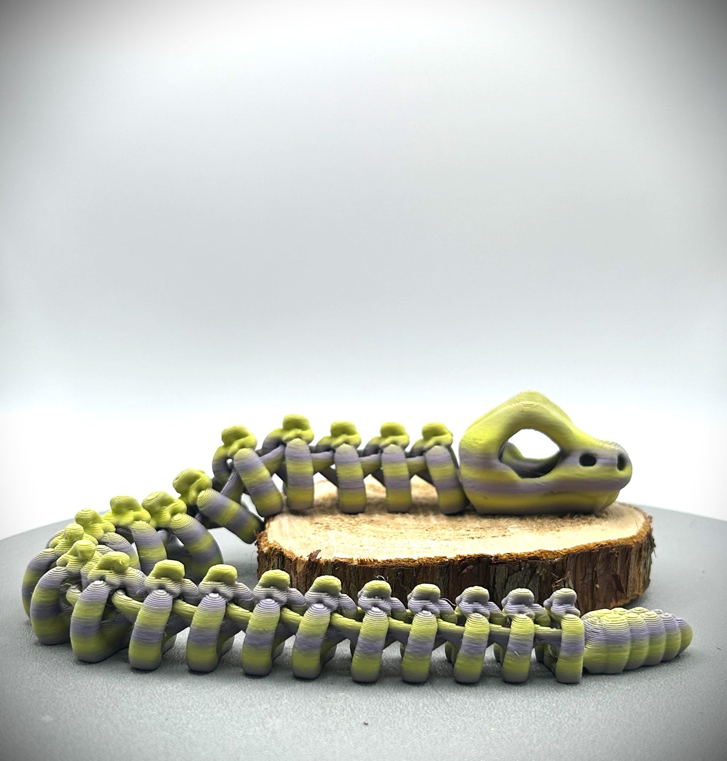 Squelette de Serpent