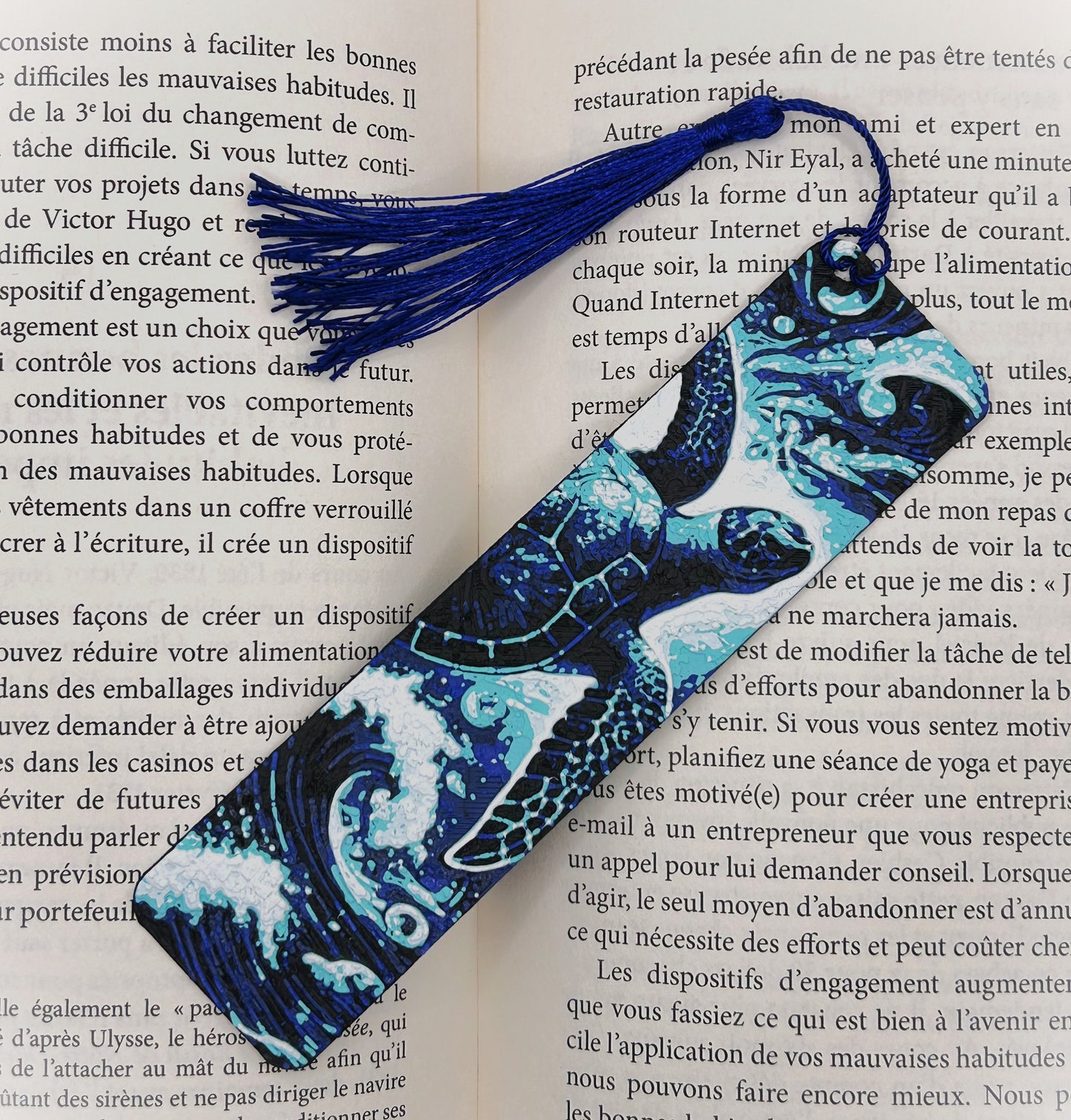 Signet de Tortue