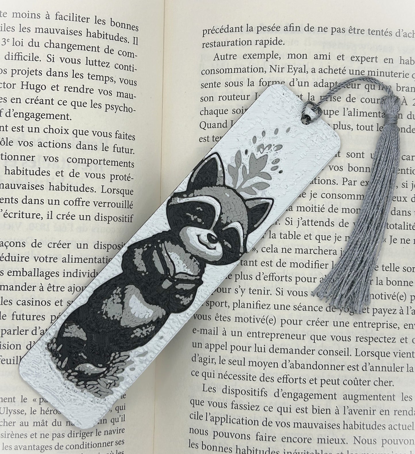 Signet de Raton Laveur